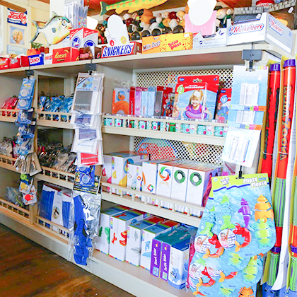 Shelves of different watersports equipment and water toys.